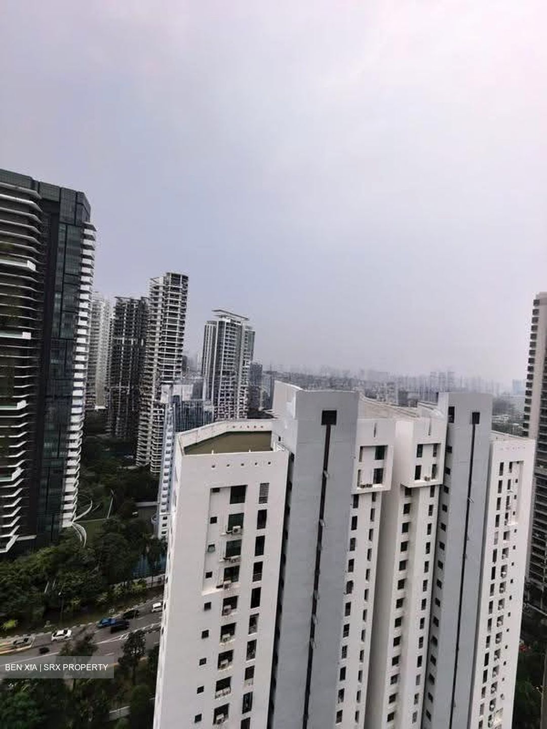 The Avenir (D9), Condominium #636878581
